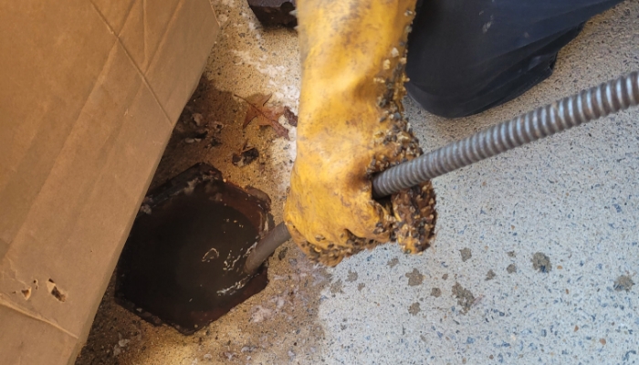 During Drain Cleaning At Sewer Cleanout In Smyrna, Ga Thomas